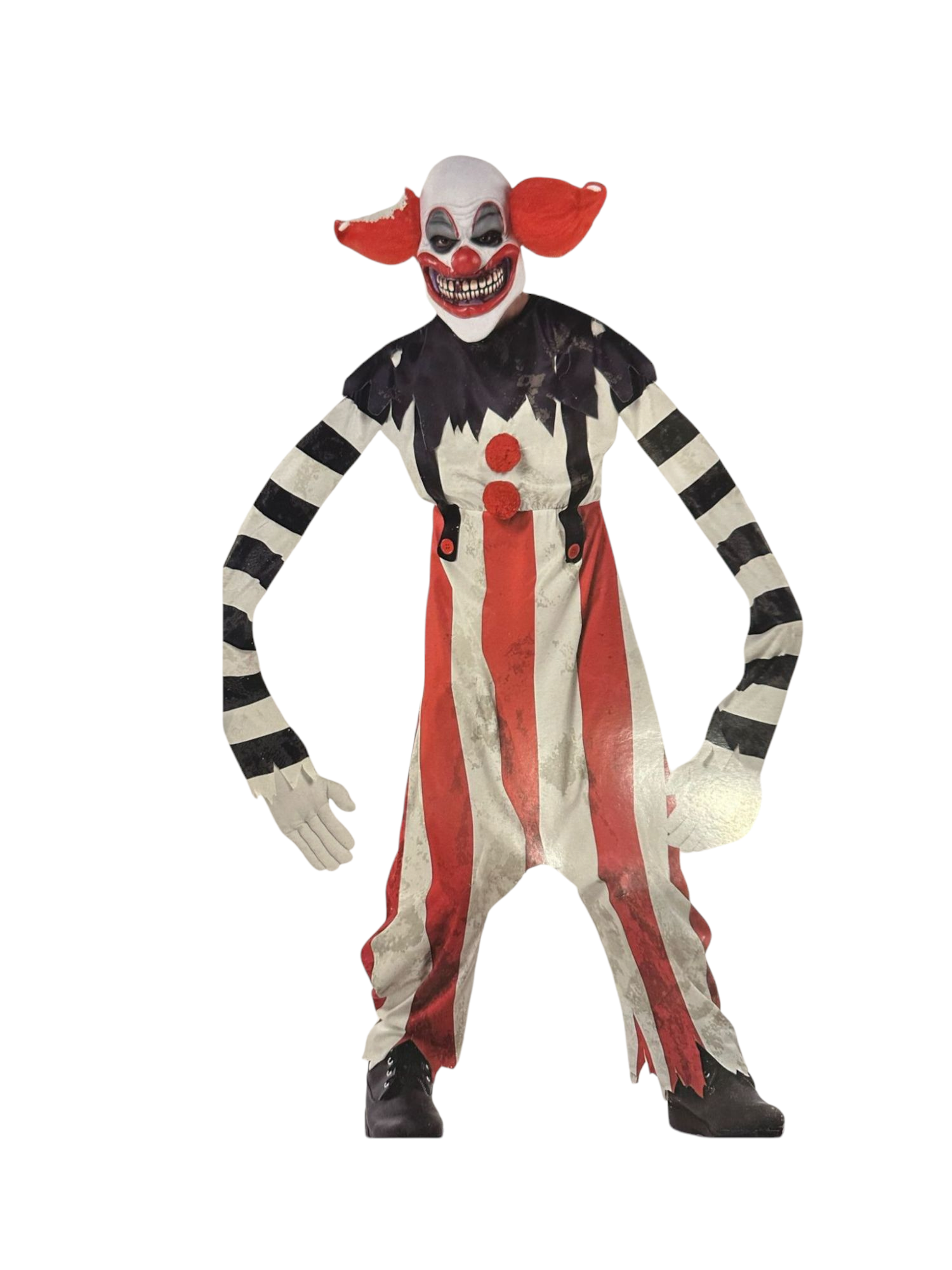PAYASO MALDITO